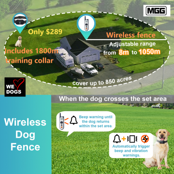 Wireless Dog Fence 8m to 1000m radius and Training Collar up to